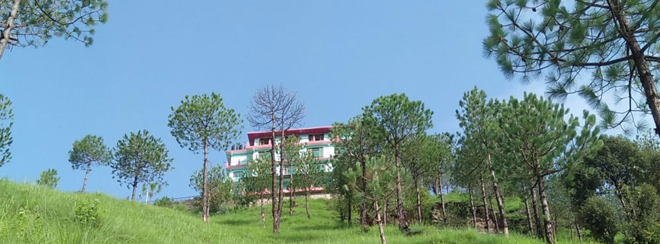 Hotel Lotus Rajgarh Himachal Pradesh