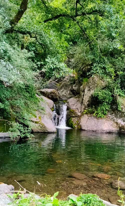 hotel-lotus-rajgarh-himachal-pradesh-magnificent-view-of-watterfall-near-hotel-lotus-rajgarh